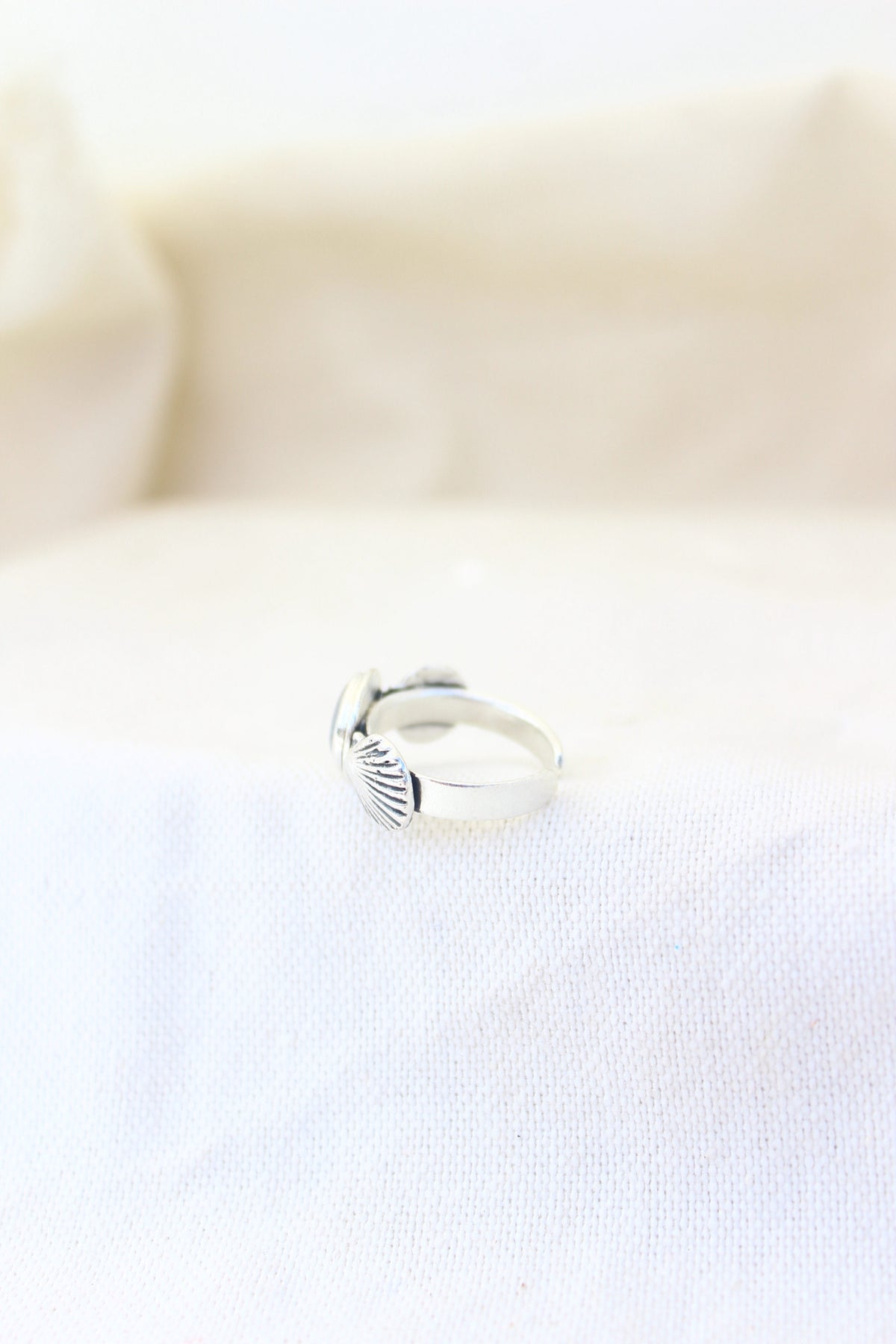 Pack anillo+libro Atlantis #5