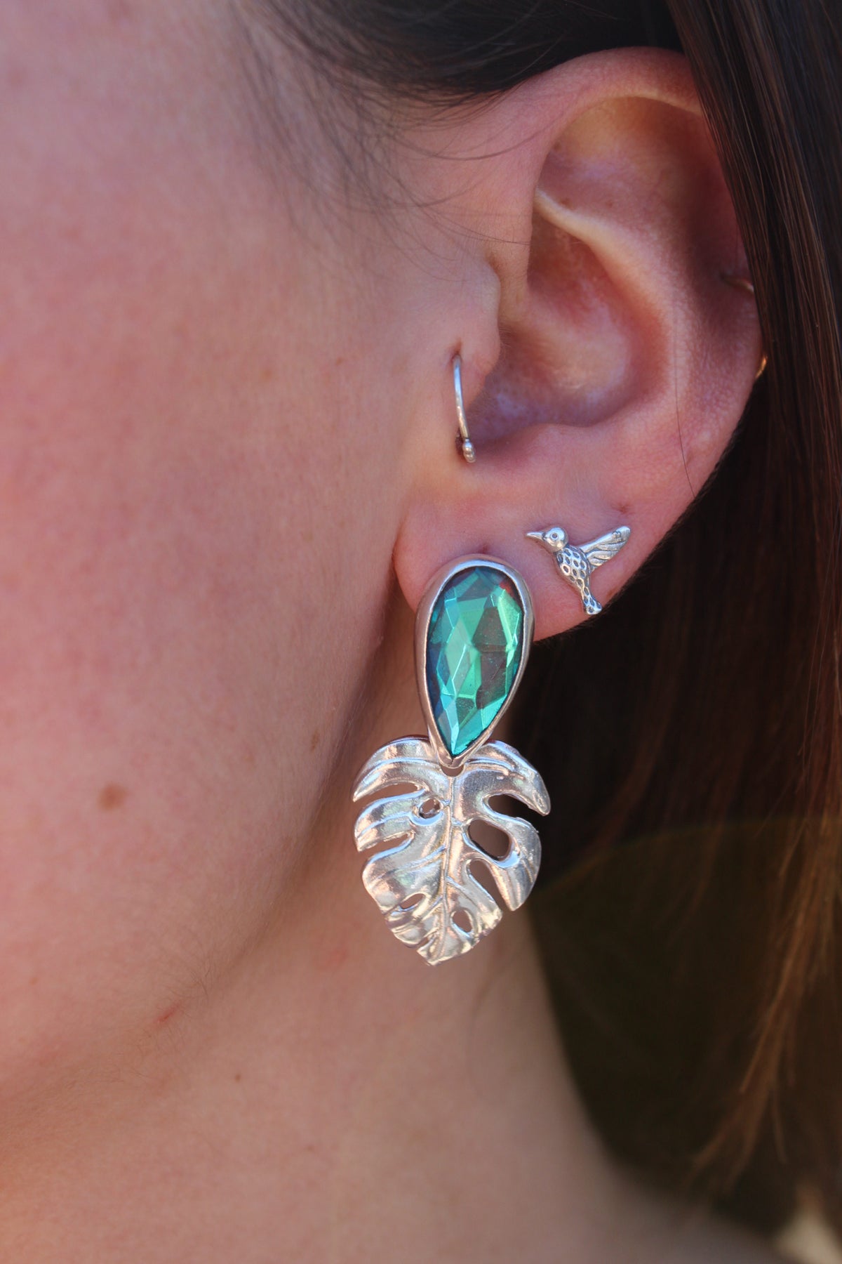 Aros monstera mística