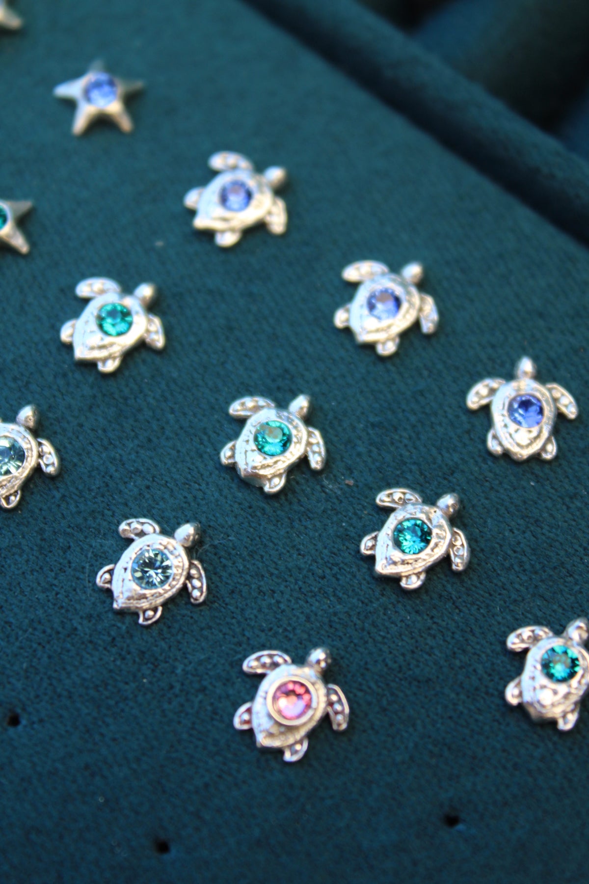 Aros tortu petit (par)