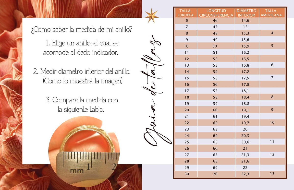Anillo LAS TRES MARÍAS ónix