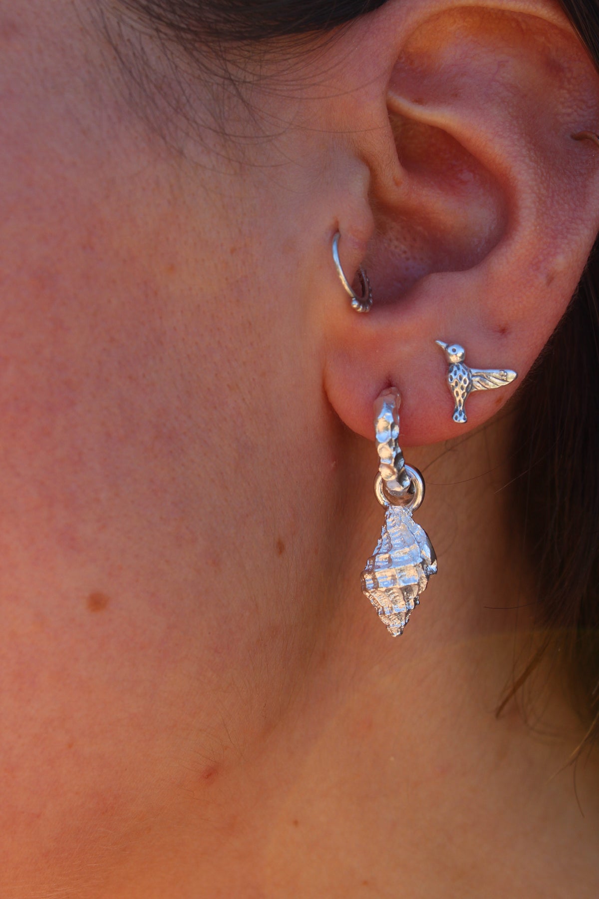 Aros argolla caracola