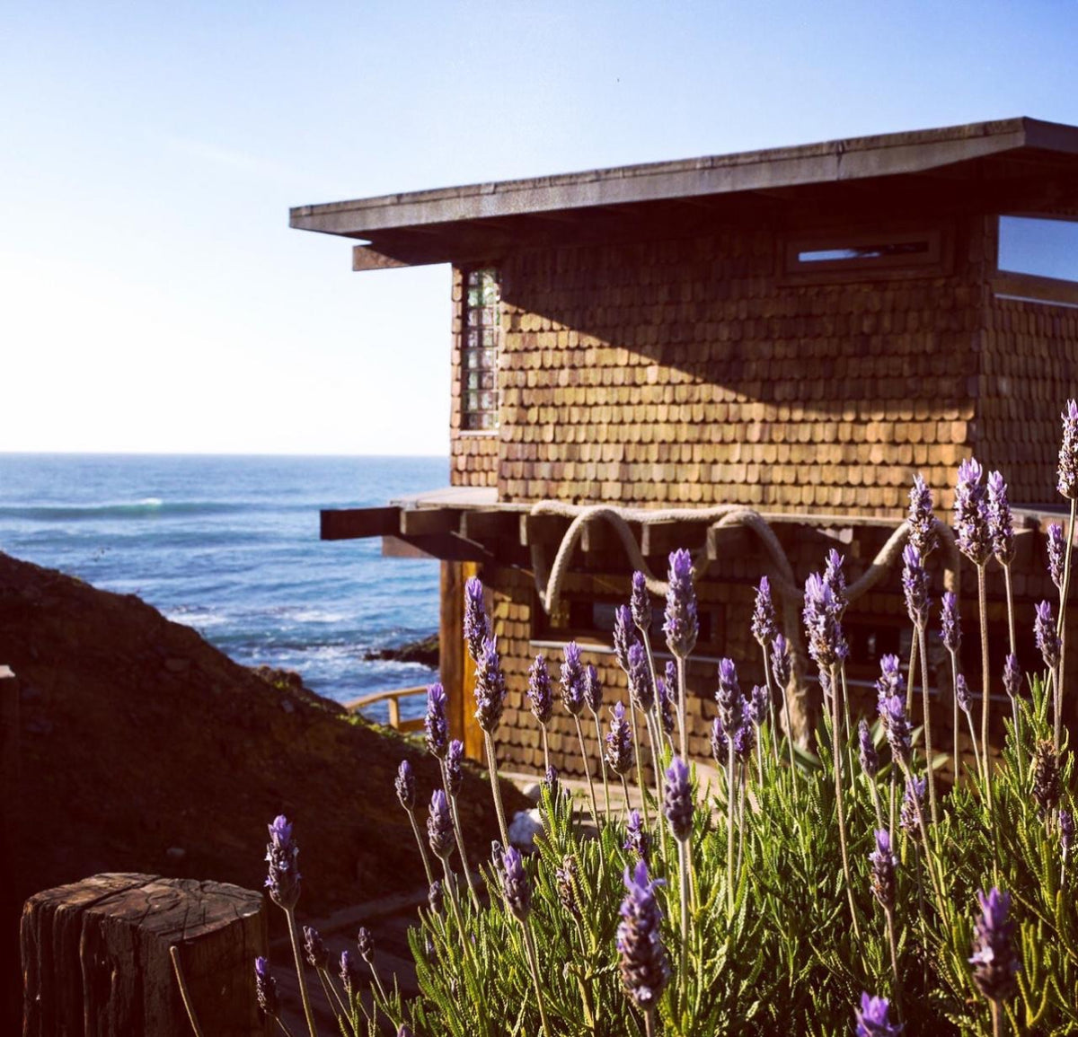 Nacidas del mar opción 3