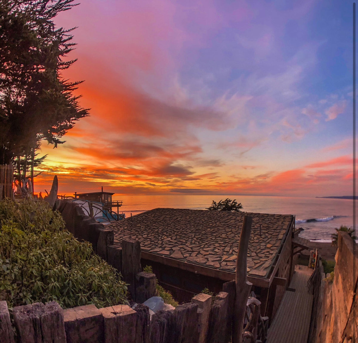 Nacidas del mar opción 3