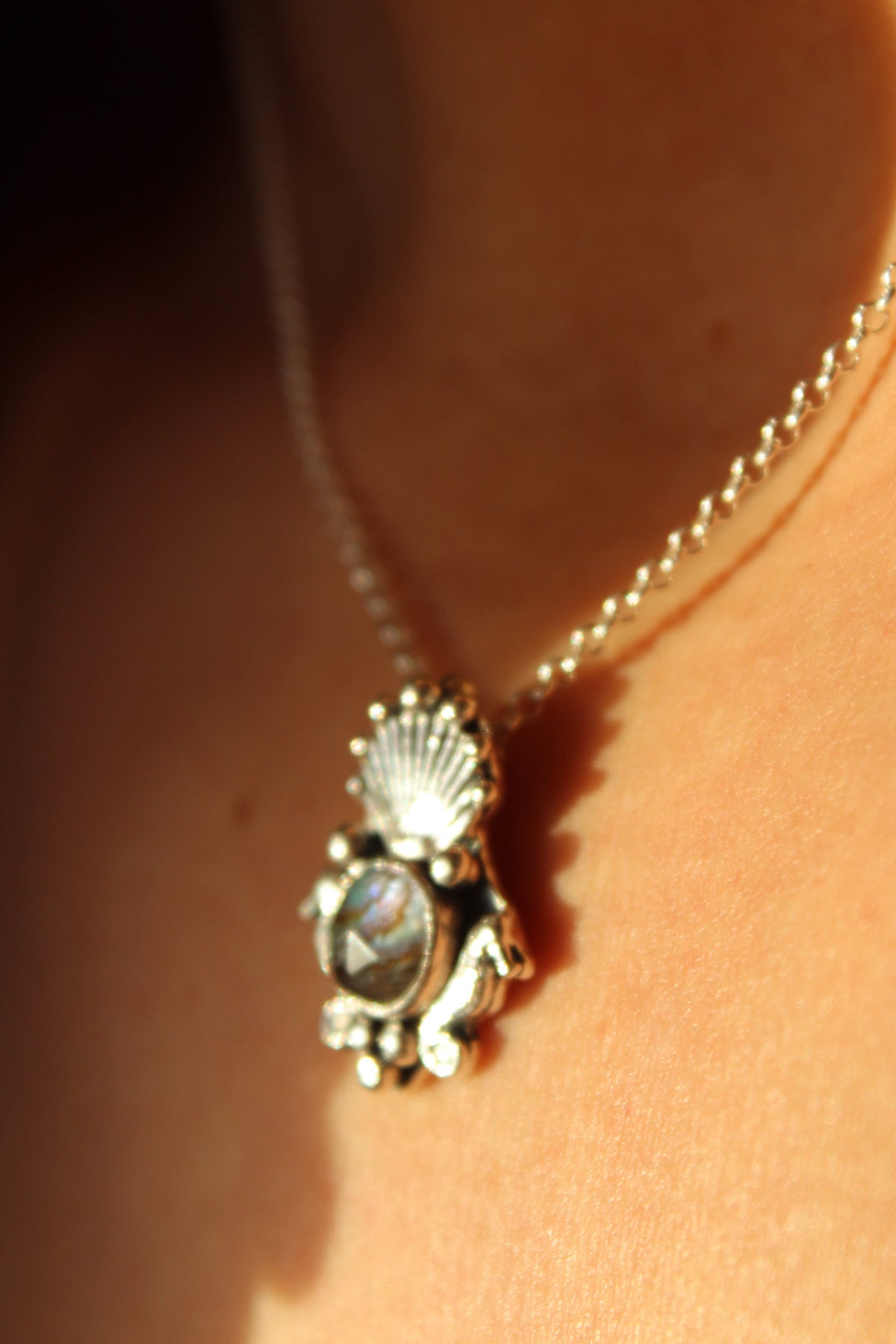 Collar escudo protector abalon